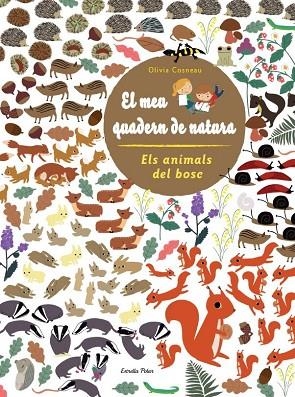 EL MEU QUADERN DE NATURA. ELS ANIMALS DEL BOSC | 9788415853299 | Llibreria Geli - Llibreria Online de Girona - Comprar llibres en català i castellà