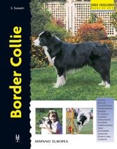BORDER COLLIE | 9788425513053 | SUSSAM,ESTEPHEN | Libreria Geli - Librería Online de Girona - Comprar libros en catalán y castellano
