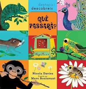 QUÈ PASSARÀ? (DESTAPA I DESCOBREIX) | 9788426139979 | DAVIES,NICOLA/BOUTAVANT,MARC (IL) | Llibreria Geli - Llibreria Online de Girona - Comprar llibres en català i castellà
