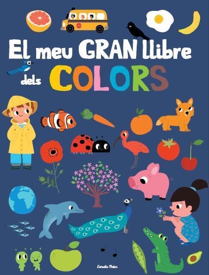 EL MEU GRAN LLIBRE DELS COLORS | 9788415853879 | A.A.V.V. | Llibreria Geli - Llibreria Online de Girona - Comprar llibres en català i castellà
