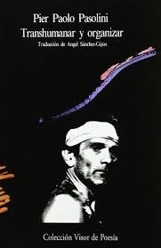 TRANSHUMANAR Y ORGANIZAR | 9788475221397 | PASOLINI,PIER PAOLO | Llibreria Geli - Llibreria Online de Girona - Comprar llibres en català i castellà