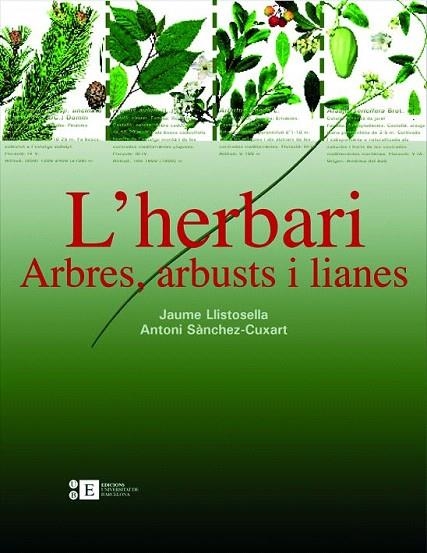 L'HERBARI.ARBRES,ABUSTS I LIANES | 9788483384220 | LLISTOSELLA,JAUME/SANCHEZ-CUXART,ANTONI | Libreria Geli - Librería Online de Girona - Comprar libros en catalán y castellano