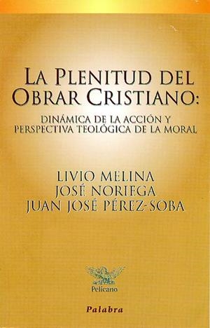 LA PLENITUD DEL OBRAR CRISTIANO:DINAMICA DE LA... | 9788482395784 | MELINA,LIVIO/NORIEGA,JOSE/PEREZ,JUAN | Libreria Geli - Librería Online de Girona - Comprar libros en catalán y castellano