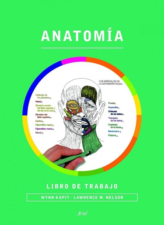 ANATOMÍA.LIBRO DE TRABAJO | 9788434417229 | KAPIT,WYNN/ELSON,LAWRENCE M. | Llibreria Geli - Llibreria Online de Girona - Comprar llibres en català i castellà