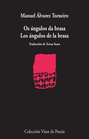 LOS ÁNGULOS DE LA BRASA | 9788498958560 | ÁLVAREZ TORNEIRO,MANUEL | Libreria Geli - Librería Online de Girona - Comprar libros en catalán y castellano