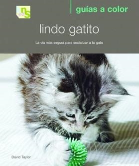 LINDO GATITO.LA VIA MAS SEGURA PARA SOCIALIZAR A TU GATO | 9788493662639 | TAYLOR,DAVID | Libreria Geli - Librería Online de Girona - Comprar libros en catalán y castellano