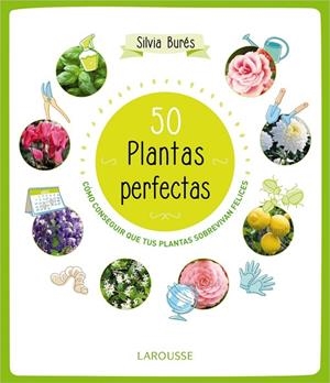 50 PLANTAS PERFECTAS.CÓMO CONSEGUIR QUE TUS PLANTAS SOBREVIVAN FELICES (TD) | 9788415785897 | BURÉS,SILVIA | Libreria Geli - Librería Online de Girona - Comprar libros en catalán y castellano