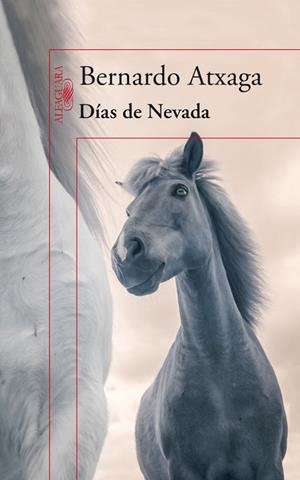 DÍAS DE NEVADA | 9788420415987 | ATXAGA,BERNARDO | Libreria Geli - Librería Online de Girona - Comprar libros en catalán y castellano