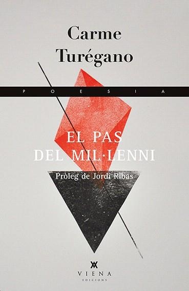 EL PAS DEL MIL·LENI | 9788483307892 | TURÉGANO,CARME | Libreria Geli - Librería Online de Girona - Comprar libros en catalán y castellano