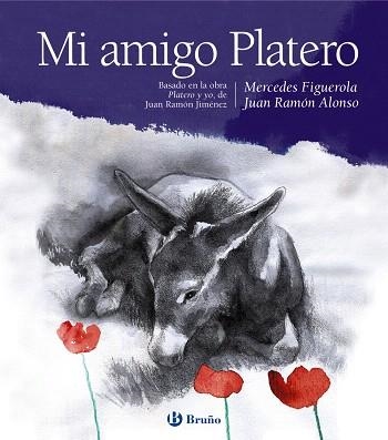 MI AMIGO PLATERO | 9788469601211 | FIGUEROLA,MERCEDES/ALONSO,JUAN RAMÓN | Libreria Geli - Librería Online de Girona - Comprar libros en catalán y castellano