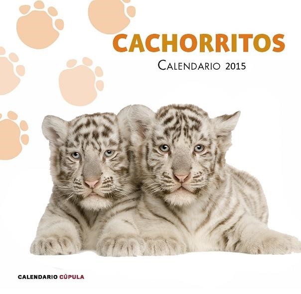 CACHORRITOS.CALENDARIO 2015 | 9788448019884 | Libreria Geli - Librería Online de Girona - Comprar libros en catalán y castellano
