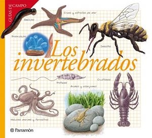 LOS INVERTEBRADOS (TD) | 9788434240599 | BARRES MANUEL,JOSEP M. | Libreria Geli - Librería Online de Girona - Comprar libros en catalán y castellano