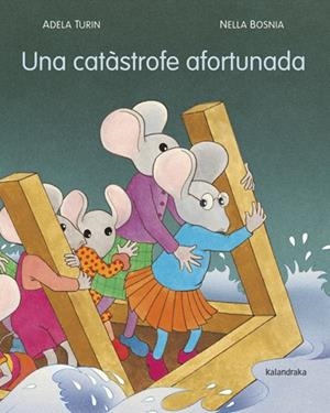 UNA CATÀSTROFE AFORTUNADA | 9788484648895 | TURIN,ADELA/BOSNIA,NELLA | Llibreria Geli - Llibreria Online de Girona - Comprar llibres en català i castellà