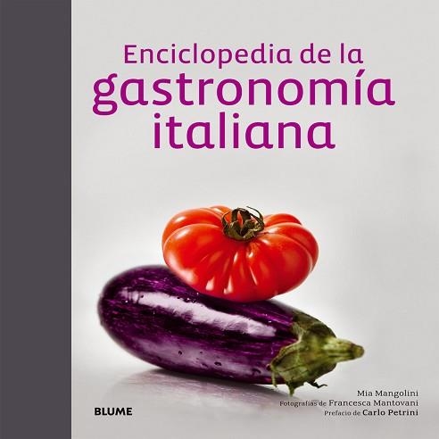 ENCICLOPEDIA DE LA GASTRONOMÍA ITALIANA | 9788416138098 | MANGOLINI,MIA | Llibreria Geli - Llibreria Online de Girona - Comprar llibres en català i castellà