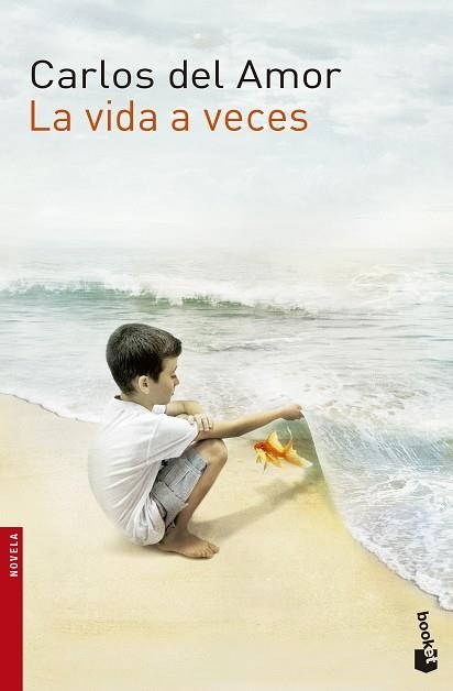 LA VIDA A VECES | 9788467042139 | DEL AMOR,CARLOS | Libreria Geli - Librería Online de Girona - Comprar libros en catalán y castellano