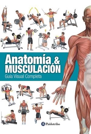ANATOMÍA & MUSCULACIÓN.GUÍA VISUAL COMPLETA | 9788499104911 | Libreria Geli - Librería Online de Girona - Comprar libros en catalán y castellano
