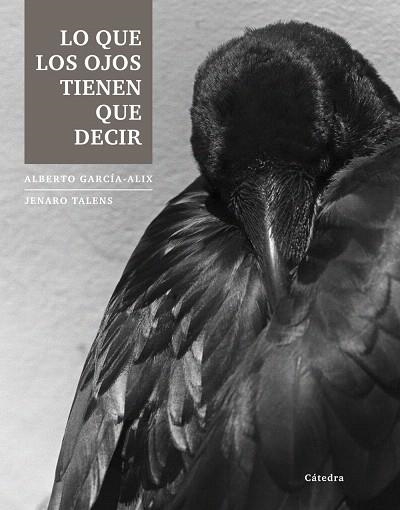 LO QUE LOS OJOS TIENEN QUE DECIR | 9788437633251 | GARCÍA-ALIX,ALBERTO/TALENS,JENARO(TEXT) | Libreria Geli - Librería Online de Girona - Comprar libros en catalán y castellano