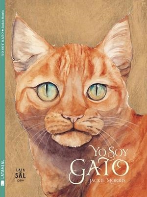 YO SOY GATO | 9788494245145 | MORRIS,JACKIE | Libreria Geli - Librería Online de Girona - Comprar libros en catalán y castellano