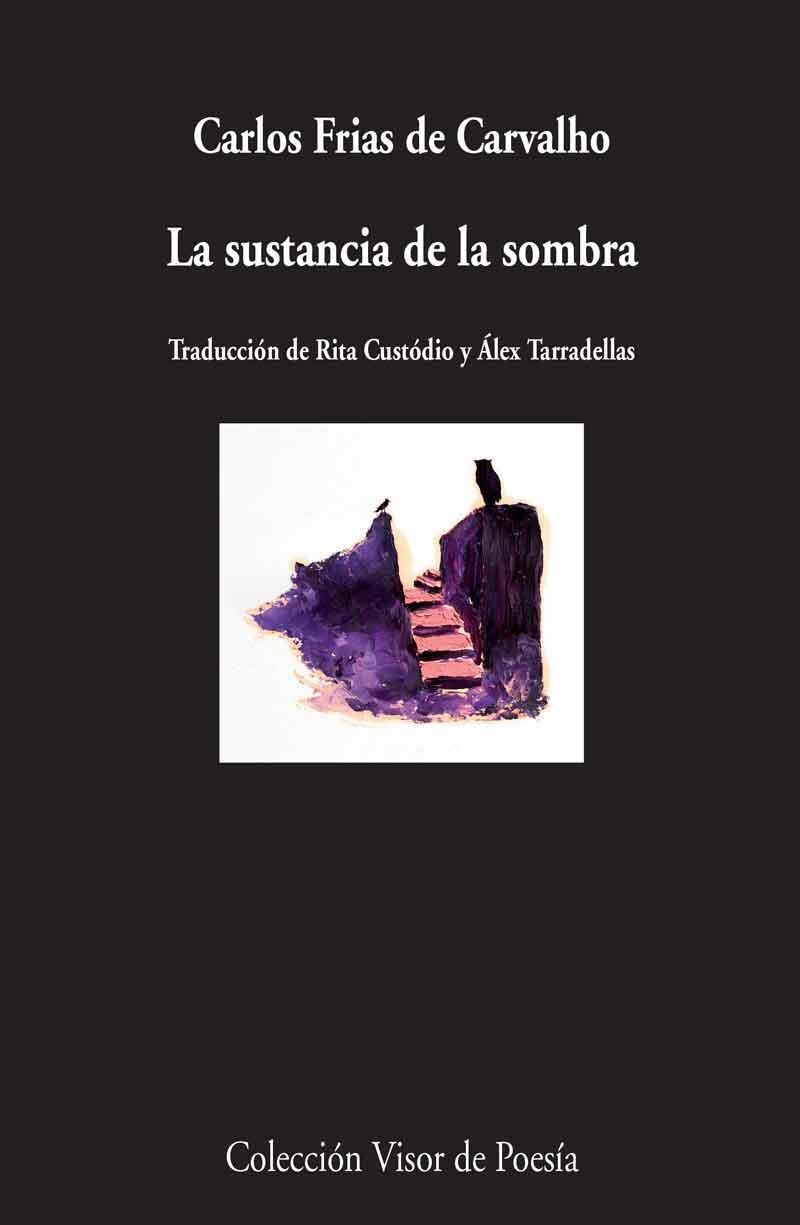LA SUSTANCIA DE LA SOMBRA | 9788498958775 | FRIAS DE CARVALHO,CARLOS | Libreria Geli - Librería Online de Girona - Comprar libros en catalán y castellano
