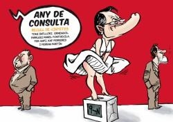 ANY DE CONSULTA.RECULL DE VINYETES | 9788415232810 |   | Llibreria Geli - Llibreria Online de Girona - Comprar llibres en català i castellà