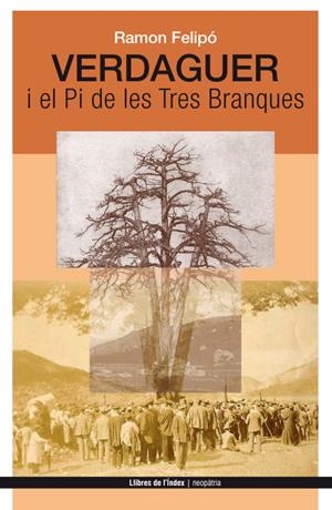 VERDAGUER I EL PI DE LES TRES BRANQUES | 9788494288920 | FELIPÓ,RAMON | Llibreria Geli - Llibreria Online de Girona - Comprar llibres en català i castellà