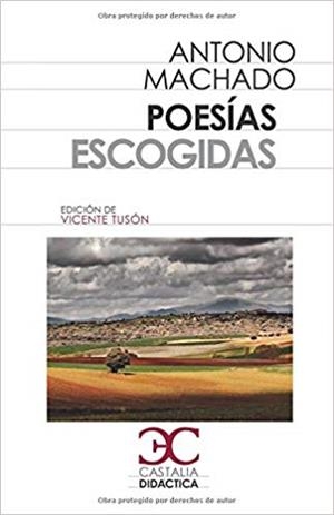 POESIAS ESCOGIDAS | 9788497406932 | MACHADO,ANTONIO | Libreria Geli - Librería Online de Girona - Comprar libros en catalán y castellano