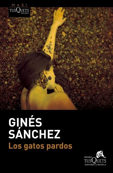 LOS GATOS PARDOS | 9788490660683 | SÁNCHEZ,GINÉS | Llibreria Geli - Llibreria Online de Girona - Comprar llibres en català i castellà
