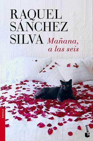 MAÑANA,A LAS SEIS | 9788408140498 | SÁNCHEZ SILVA,RAQUEL | Llibreria Geli - Llibreria Online de Girona - Comprar llibres en català i castellà