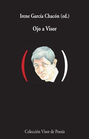 OJO A VISOR | 9788498959000 | GARCÍA CHACÓN,IRENE (ED.) | Llibreria Geli - Llibreria Online de Girona - Comprar llibres en català i castellà