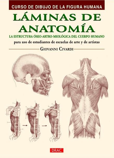 LÁMINAS DE ANATOMÍA | 9788498744798 | CIVARDI,GIOVANNI | Libreria Geli - Librería Online de Girona - Comprar libros en catalán y castellano
