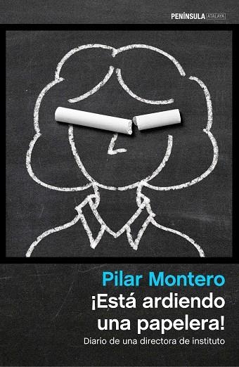 ESTÁ ARDIENDO UNA PAPELERA! | 9788499424354 | MONTERO,PILAR | Llibreria Geli - Llibreria Online de Girona - Comprar llibres en català i castellà