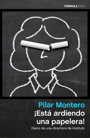 ESTÁ ARDIENDO UNA PAPELERA! | 9788499424354 | MONTERO,PILAR | Llibreria Geli - Llibreria Online de Girona - Comprar llibres en català i castellà