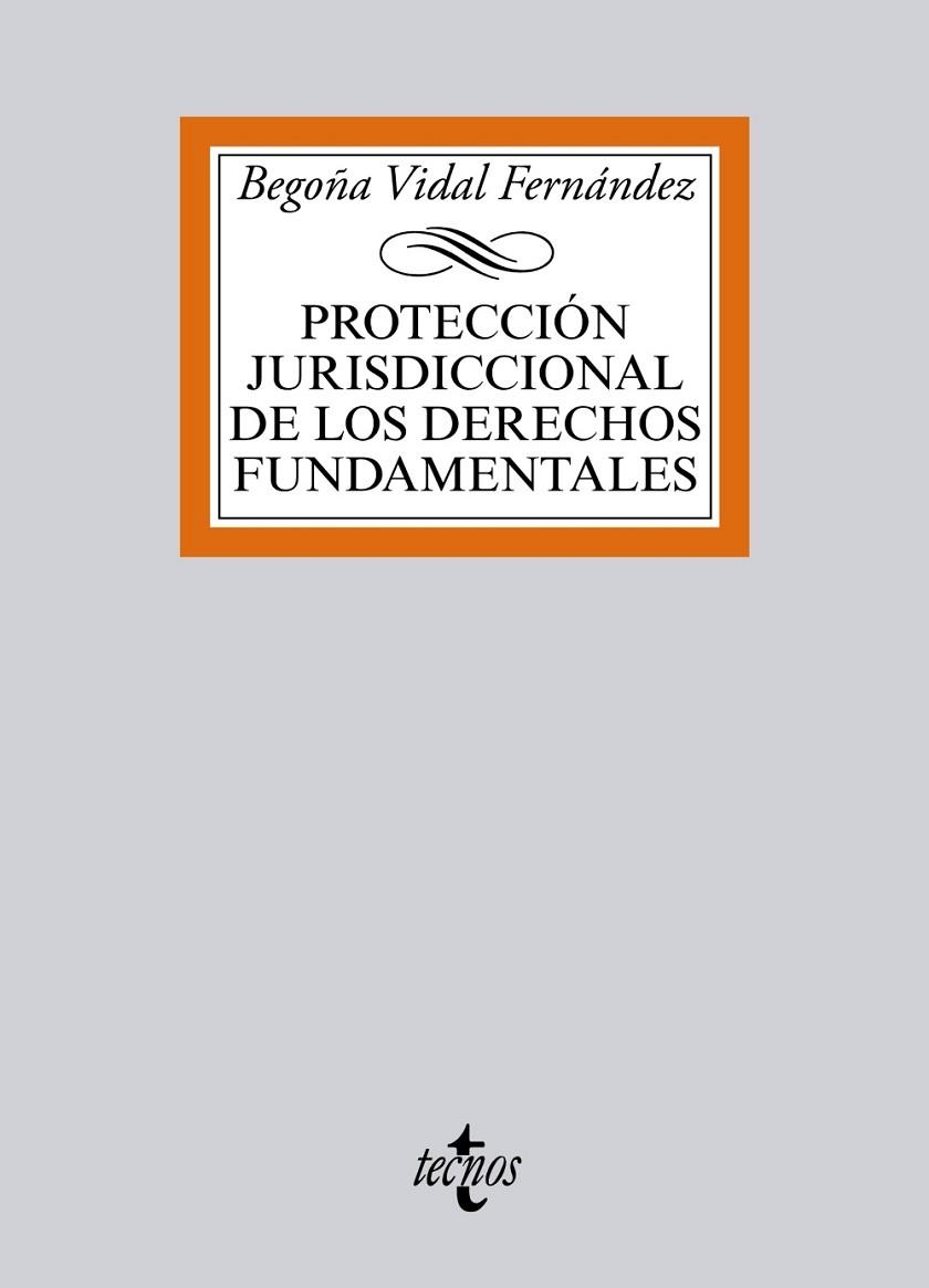 PROTECCIÓN JURISDICCIONAL DE LOS DERECHOS FUNDAMENTALES | 9788430965991 | VIDAL FERNÁNDEZ,BEGOÑA | Libreria Geli - Librería Online de Girona - Comprar libros en catalán y castellano