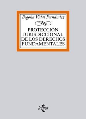 PROTECCIÓN JURISDICCIONAL DE LOS DERECHOS FUNDAMENTALES | 9788430965991 | VIDAL FERNÁNDEZ,BEGOÑA | Libreria Geli - Librería Online de Girona - Comprar libros en catalán y castellano