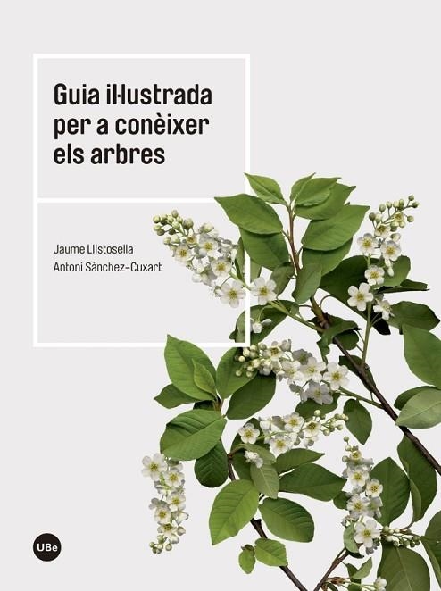 GUIA IL.LUSTRADA PER A CONÈIXER ELS ARBRES | 9788447542444 | LLISTOSELLA VIDAL,JAUME/SÀNCHEZ CUXART, ANTONI | Libreria Geli - Librería Online de Girona - Comprar libros en catalán y castellano