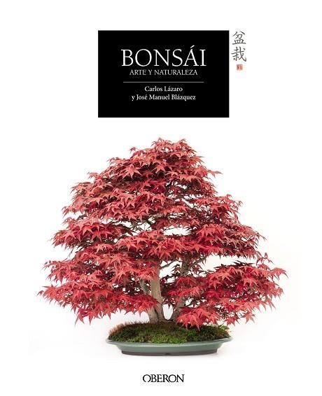 BONSÁI | 9788441537118 | LÁZARO,CARLOS/BLÁZQUEZ,JOSÉ MANUEL | Llibreria Geli - Llibreria Online de Girona - Comprar llibres en català i castellà
