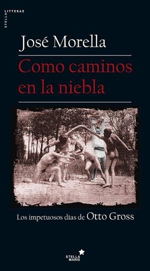 COMO CAMINOS EN LA NIEBLA | 9788416541348 | MORELLA,JOSÉ | Llibreria Geli - Llibreria Online de Girona - Comprar llibres en català i castellà