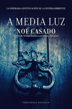 A MEDIA LUZ | 9788415952961 | CASADO,NOE | Libreria Geli - Librería Online de Girona - Comprar libros en catalán y castellano