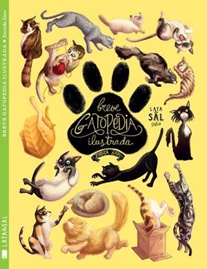 BREVE GATOPEDIA ILUSTRADA | 9788494469862 | ZARO,ZORAIDA | Libreria Geli - Librería Online de Girona - Comprar libros en catalán y castellano