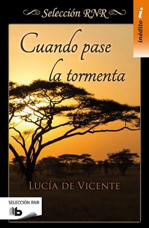 CUANDO PASE LA TORMENTA | 9788490702543 | DE VICENTE,LUCÍA | Libreria Geli - Librería Online de Girona - Comprar libros en catalán y castellano