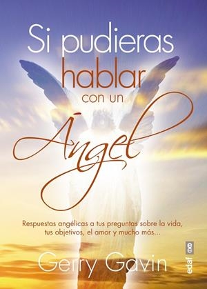 SI PUDIERAS HABLAR CON UN ÁNGEL | 9788441436510 | GAVIN,GERRY | Libreria Geli - Librería Online de Girona - Comprar libros en catalán y castellano