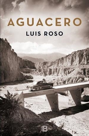 AGUACERO | 9788466659215 | ROSO,LUIS | Libreria Geli - Librería Online de Girona - Comprar libros en catalán y castellano