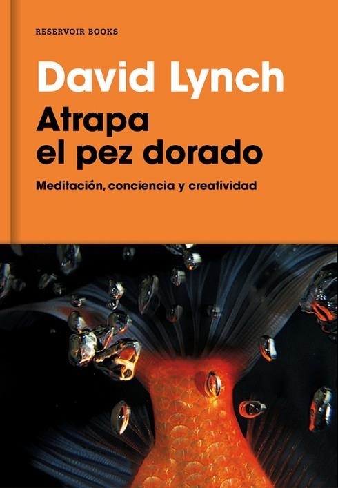 ATRAPA EL PEZ DORADO | 9788416709014 | LYNCH,DAVID | Libreria Geli - Librería Online de Girona - Comprar libros en catalán y castellano