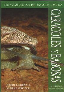 CARACOLES Y BABOSAS(NUEVAS GUIAS DE CAMPO DE CARACOLES Y BABOSAS DE LA PENÍNSULA IBÉRICA Y BALEARES) | 9788428215992 | SEGARRA, DOLORS/GAYÁN, JOSÉ JAVIER | Llibreria Geli - Llibreria Online de Girona - Comprar llibres en català i castellà