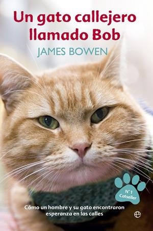 UN GATO CALLEJERO LLAMADO BOB | 9788490607305 | BOWDEN,JAMES | Llibreria Geli - Llibreria Online de Girona - Comprar llibres en català i castellà