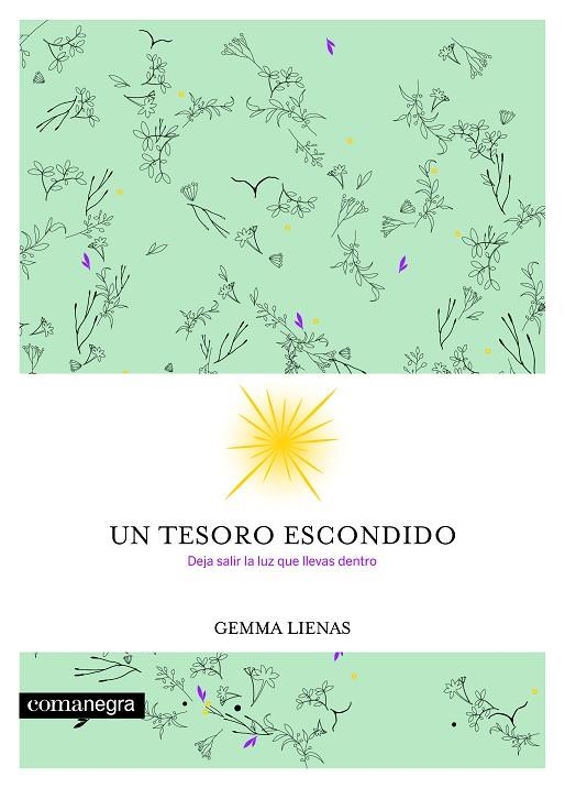 UN TESORO ESCONDIDO.DEJA SALIR LA LUZ QUE LLEVAS DENTRO | 9788416605354 | LIENAS,GEMMA | Libreria Geli - Librería Online de Girona - Comprar libros en catalán y castellano