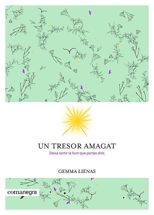 UN TRESOR AMAGAT.DEIXA SORTIR LA LLUM QUE PORTES DINS | 9788416605347 | LIENAS,GEMMA | Libreria Geli - Librería Online de Girona - Comprar libros en catalán y castellano