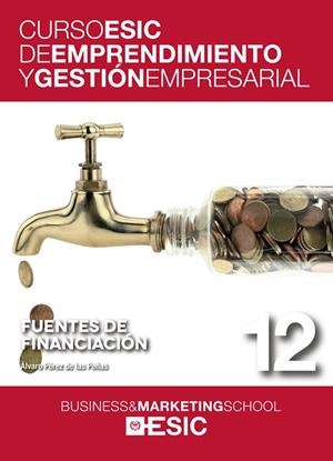 FUENTES DE FINANCIACIÓN | 9788473569484 | PÉREZ DE LAS PEÑAS,ÁLVARO | Libreria Geli - Librería Online de Girona - Comprar libros en catalán y castellano