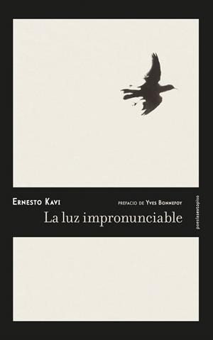 LA LUZ IMPRONUNCIABLE | 9788416677092 | KAVI,ERNESTO | Libreria Geli - Librería Online de Girona - Comprar libros en catalán y castellano