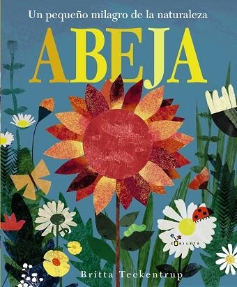 ABEJA | 9788469606223 | HEGARTY,PATRICIA | Libreria Geli - Librería Online de Girona - Comprar libros en catalán y castellano